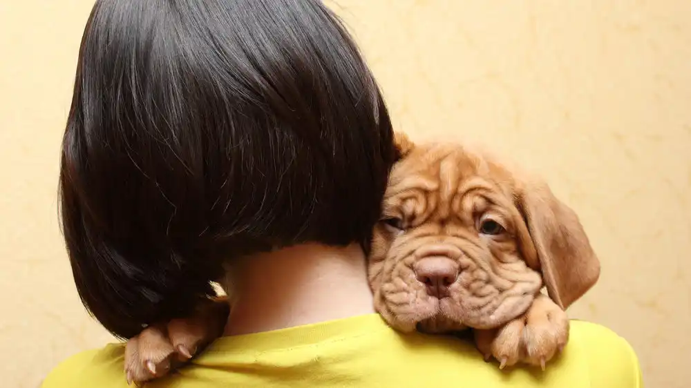 woman with short black hair holding a brown dog on her shoulders.